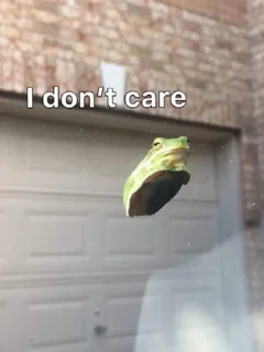 😒-Frogs_Toads @spatanx, Telegram Sticker