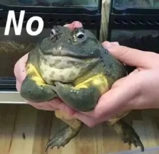 🙅-Frogs_Toads @spatanx, Telegram Sticker