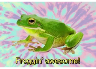 🎆-Frogs_Toads @spatanx, Telegram Sticker