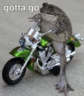👋-Frogs_Toads @spatanx, Telegram Sticker