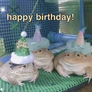 🍰-Frogs_Toads @spatanx, Telegram Sticker