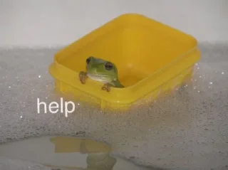 😣-Frogs_Toads @spatanx, Telegram Sticker