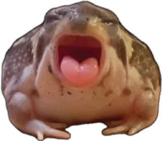 😵-Frogs_Toads @spatanx, Telegram Sticker