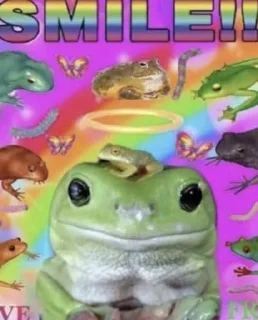 🏳️‍🌈-Frogs_Toads @spatanx, Telegram Sticker