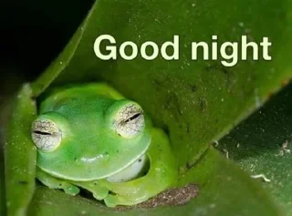 😴-Frogs_Toads @spatanx, Telegram Sticker