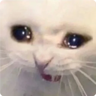 😿-Cat Crying, Telegram Sticker