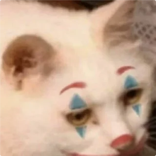 🤡-Cat Crying, Telegram Sticker