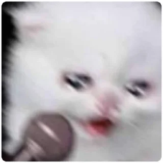 🎤-Cat Crying, Telegram Sticker