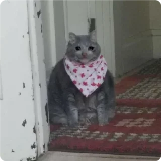 😋-Cat Crying, Telegram Sticker