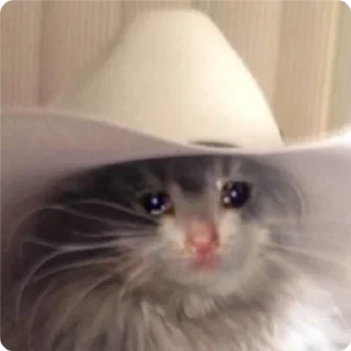 🙂-Cat Crying, Telegram Sticker