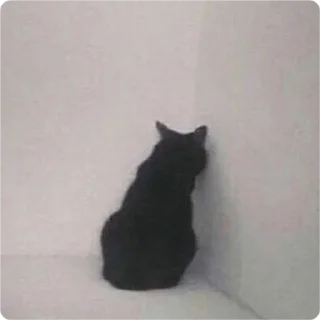 😪-Cat Crying, Telegram Sticker