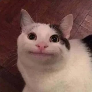 😐-Cat Crying, Telegram Sticker