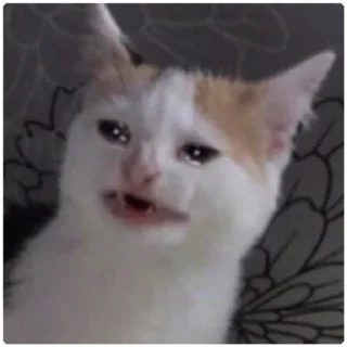 😑-Cat Crying, Telegram Sticker