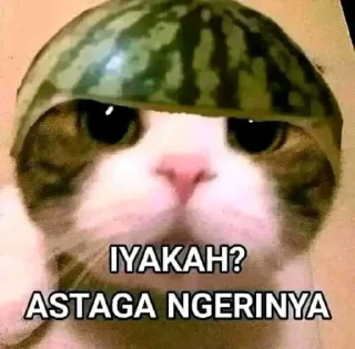 🌟-Punya arin :: @fStikBot, Telegram Sticker