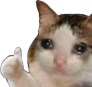 🥺-@Ghanta Sticker Pack, Telegram Sticker