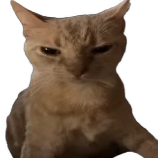 🤬-Взгляни -> @EREZYBACK :: @fStikBot, Telegram Sticker