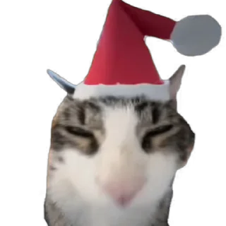 🎄-Взгляни -> @EREZYBACK :: @fStikBot, Telegram Sticker