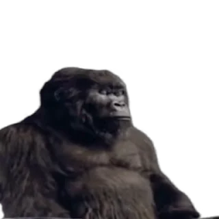 🦍-Взгляни -> @EREZYBACK :: @fStikBot, Telegram Sticker