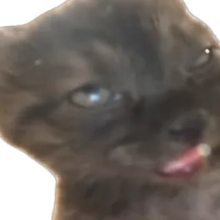 🥱-Взгляни -> @EREZYBACK :: @fStikBot, Telegram Sticker