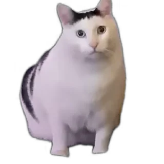 😾-Взгляни -> @EREZYBACK :: @fStikBot, Telegram Sticker