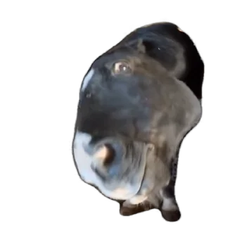 😱-Взгляни -> @EREZYBACK :: @fStikBot, Telegram Sticker