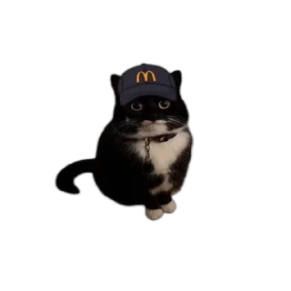 🍟-Взгляни -> @EREZYBACK :: @fStikBot, Telegram Sticker
