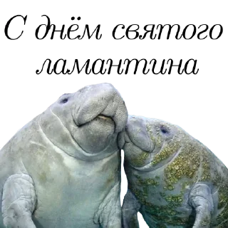 ❤️-Гнилой романтичный @gnilyebaby, Telegram Sticker