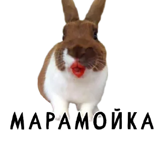 🦹‍♀-Гнилые кролики @gnilyebaby, Telegram Sticker