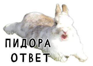 👬-Гнилые кролики @gnilyebaby, Telegram Sticker