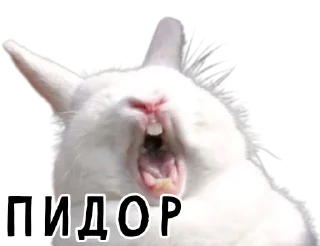 👬-Гнилые кролики @gnilyebaby, Telegram Sticker
