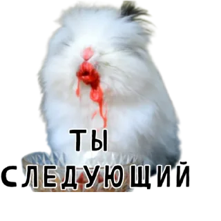 ⏭-Гнилые кролики @gnilyebaby, Telegram Sticker