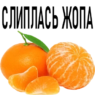🍊-Новогоднее настроение @gnilyebaby, Telegram Sticker