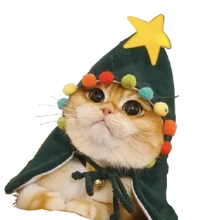 😺-Новогоднее настроение @gnilyebaby, Telegram Sticker