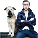 🐶-Ryan Gosling, Telegram Sticker
