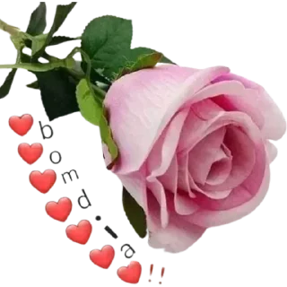 ❤️-                  @Graodefe, Telegram Sticker