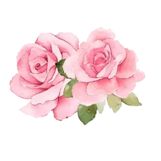 ❤️-                  @Graodefe, Telegram Sticker