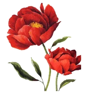 ❤️-                  @Graodefe, Telegram Sticker