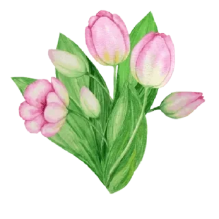❤️-                  @Graodefe, Telegram Sticker