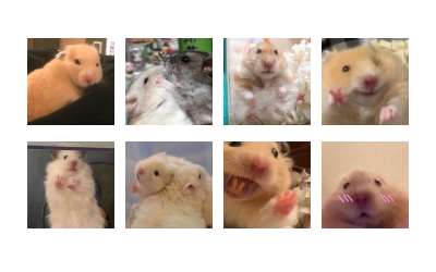 Hamsters