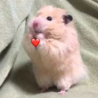 🥰-Hamsters, Telegram Sticker