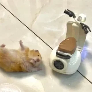 🥴-Hamsters, Telegram Sticker