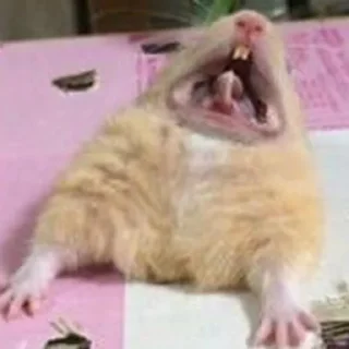 😫-Hamsters, Telegram Sticker