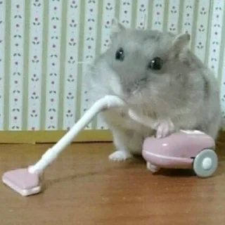 😮‍💨-Hamsters, Telegram Sticker