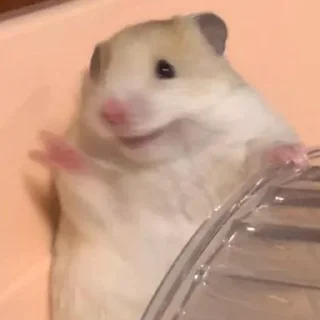 🤗-Hamsters, Telegram Sticker