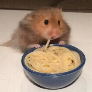😳-Hamsters, Telegram Sticker