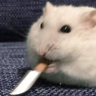 😠-Hamsters, Telegram Sticker