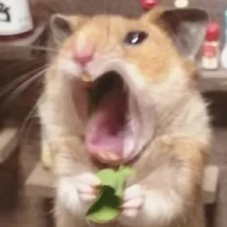 😫-Hamsters, Telegram Sticker