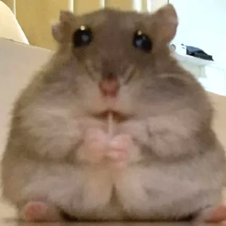 😳-Hamsters, Telegram Sticker