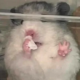 🤧-Hamsters, Telegram Sticker