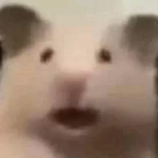 😧-Hamsters, Telegram Sticker